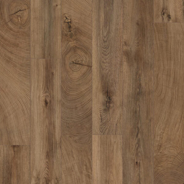 Oak Bark