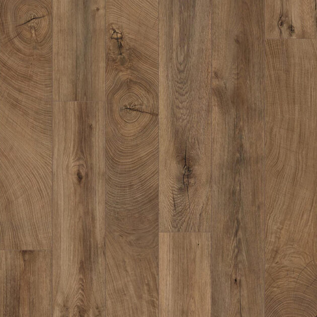 Oak Bark