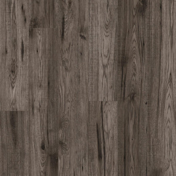 Berkeley Ash