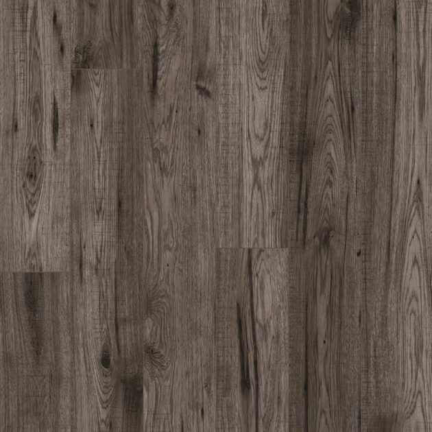 Berkeley Ash