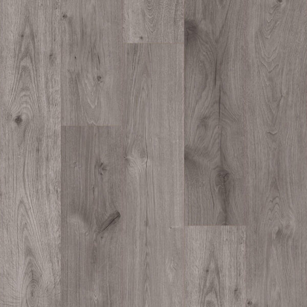 Rovella Ash