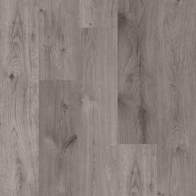 Rovella Ash