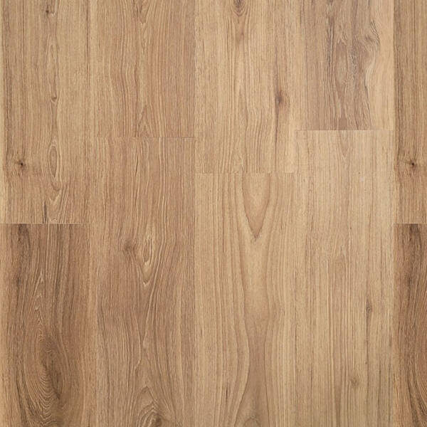 Oregon Oak