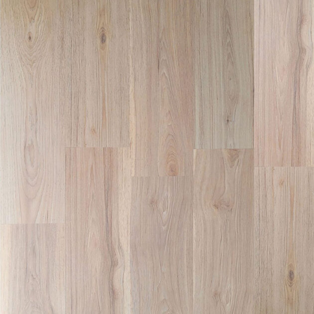 Bronx Oak