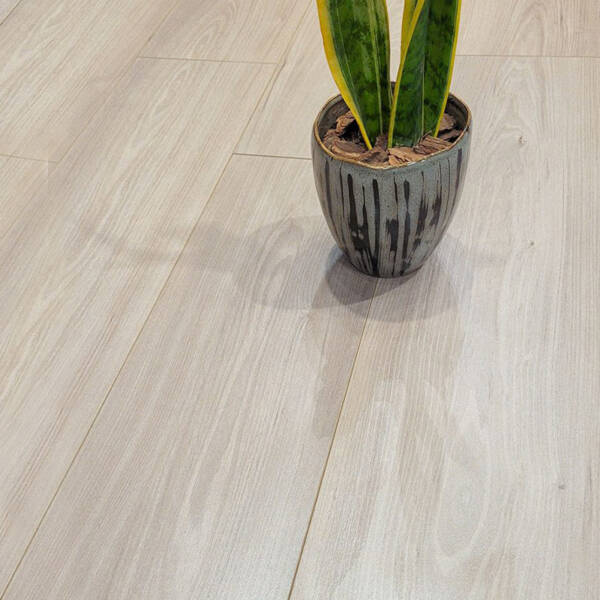 Himalaya Oak - Image 3