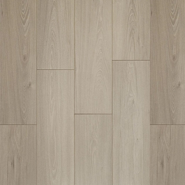 Himalaya Oak