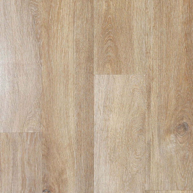 Serbia Oak