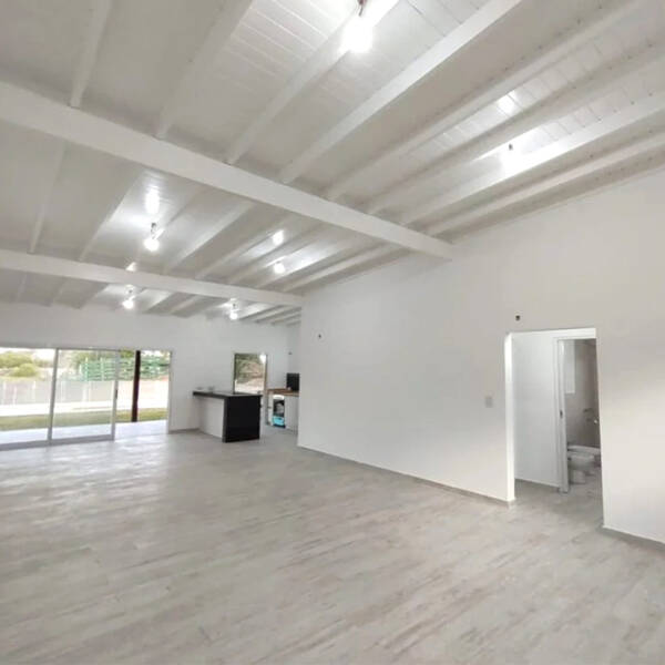 Araucaria White - Image 3